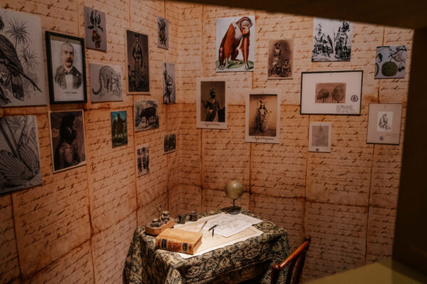 NATASCIA-MERCURIO-NATYBTW-SANDOKAN-2365